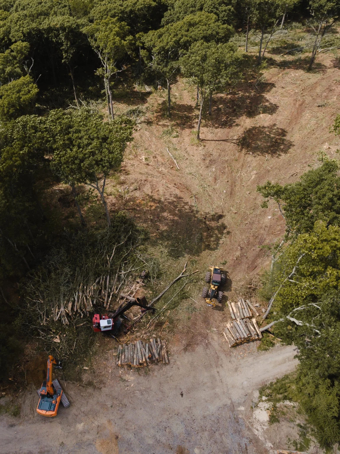 Land Clearing in Massachusetts