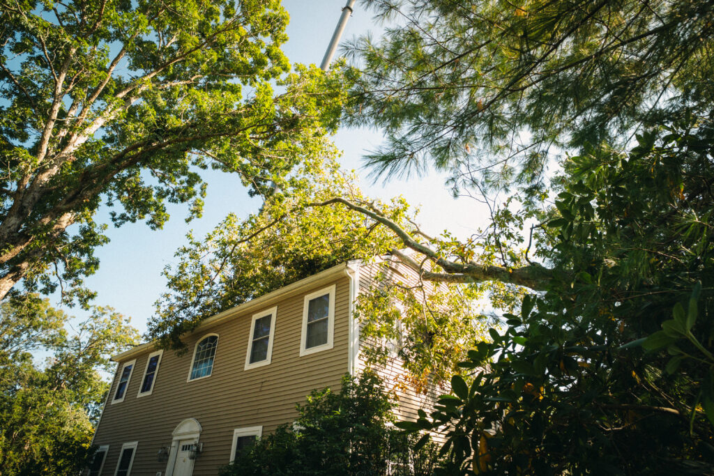Emergency tree removal services image