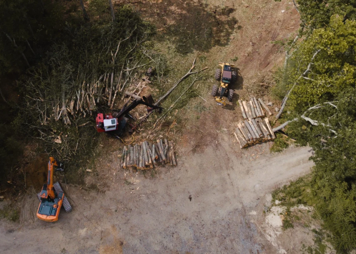 Professional land clearing services