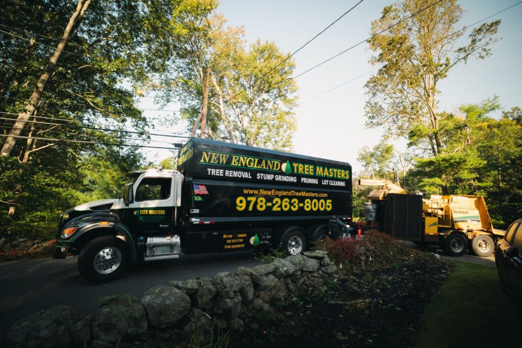 7 Dangers of DIY Tree Removal That You Shouldn't Underestimate
