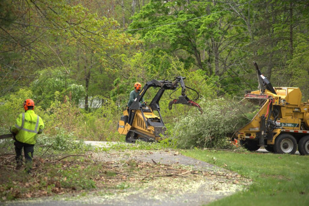 certified-tree-service-massachusetts