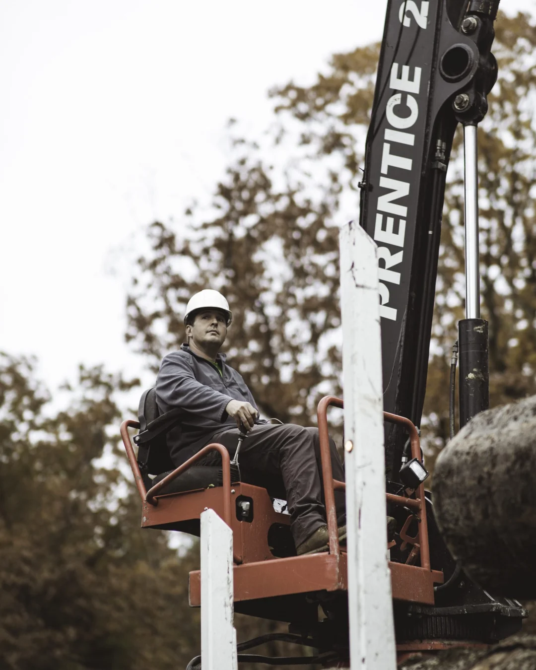 Tree Masters Services